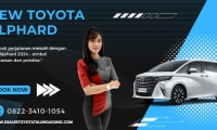 New Toyota alphard Tulungagung Blitar Trenggalek (4)